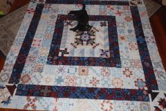 My quilt top, April 2017